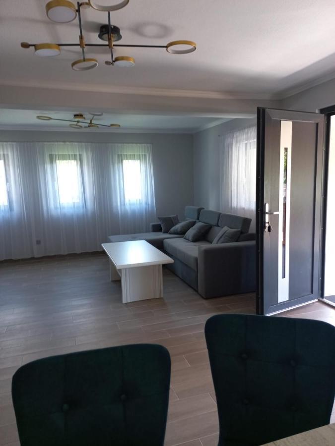 Casa Edy Villa Vişeu de Sus Екстериор снимка